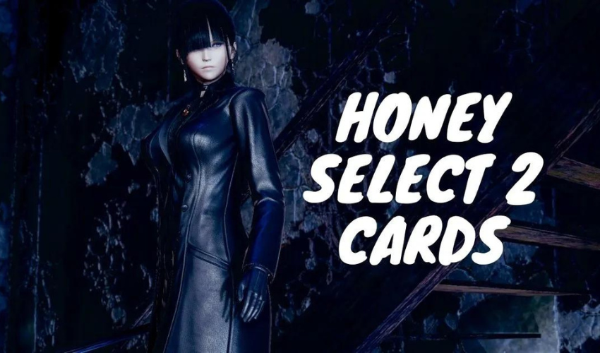 honey select 2 dx card editor download
